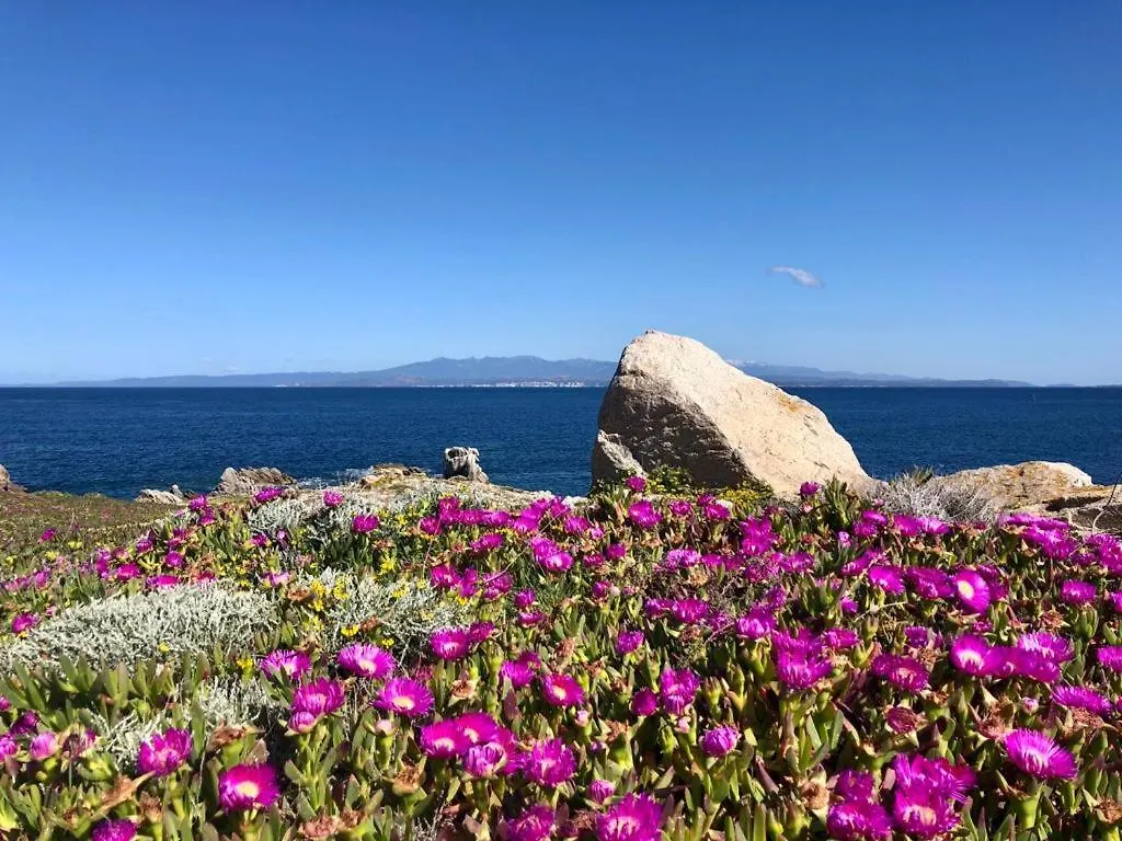 Relaxing Cristal Blu 1Bedroom Apartment B5 Sleeps5 Santa Teresa Gallura 0*,  Italië